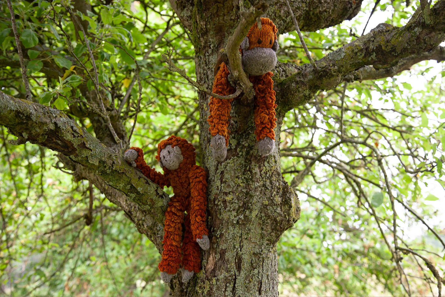 Doudou orang-outang BORIS et peluche singe tamarin TAMY en laine mérinos rouille. Faits main 