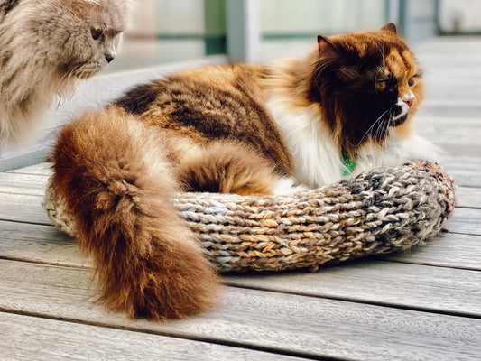 Panier douillet en pure Laine Mérinos pour Petits Chiens et Chats - Tricoté à la Main - MNYAMA - 28 cm de diamètre